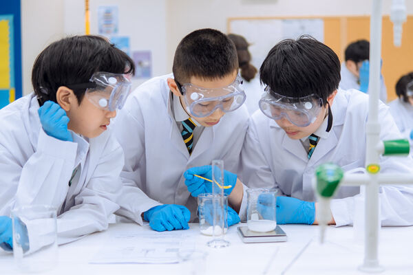 Grade7 - Science,Hiba Academy Nantong